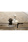 Форматно-розкроювальний верстат Holzmann FKS305V32TOP_400V